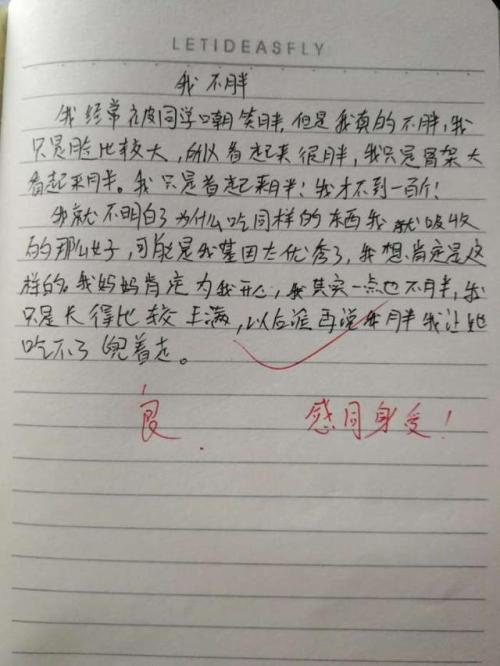 初二英语作文：我家中最忙的人_800字
