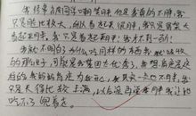 初二英语作文：我家中最忙的人_800字