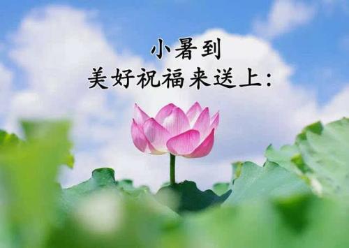 铭记那份美好_800字