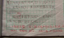 我行我秀作文1100字