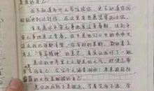 清扫劣质网红，一切刻不容缓 高一作文800字