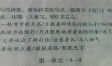 人和马 关于马的作文700字