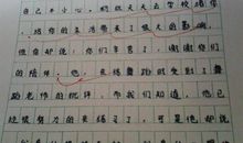 关于偶像的作文：我的偶像_900字