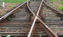 小学生作文两篇：我的奇思妙想