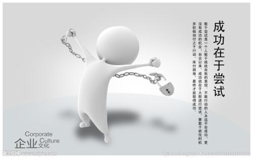 那是一次大胆的尝试_700字