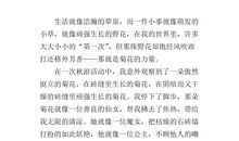 花开不只在春天-菊花的启示作文700字