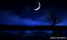 六年级作文：夜晚一棵大树下的故事