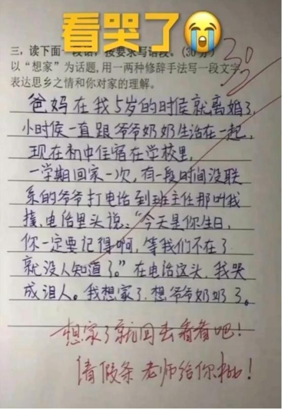 小学生满分作文《孤独》,没有“孤独”二字,却令老师动容落泪 2
