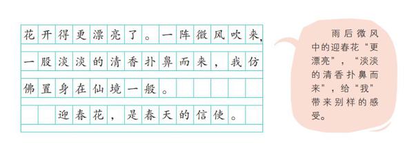 上网课，写好作文，《小学生作文同步指导》来帮忙！ 9