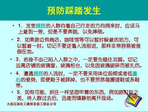 假期实践培训心得体会