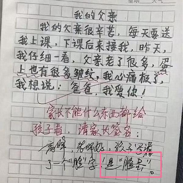 小学生作文现“神转折”,“大胆尝试”令人捧腹,老师:我太难了 6