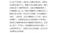 奇妙的尾巴 六年级童话故事作文400字