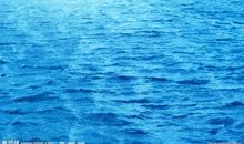 关于大海的作文：我的大海梦_350字