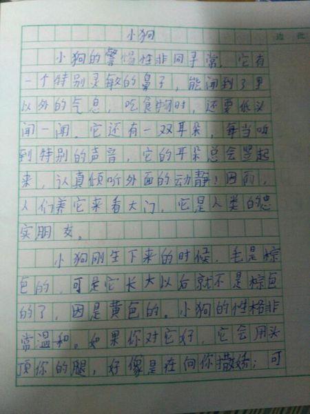 小狗_600字