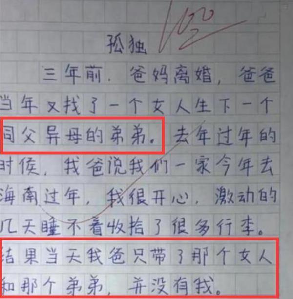 小学生满分作文《孤独》,没有“孤独”二字,却令老师动容落泪 3