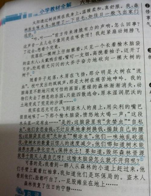 天堂的亲人作文