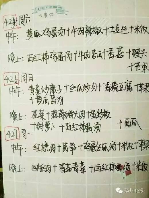 高三日记：家乡的四季_800字