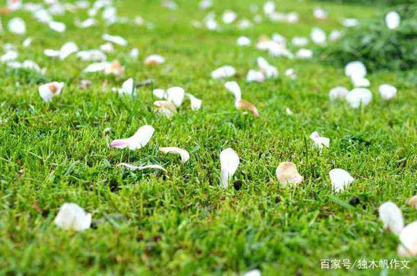 三年级作文：春天的脚步