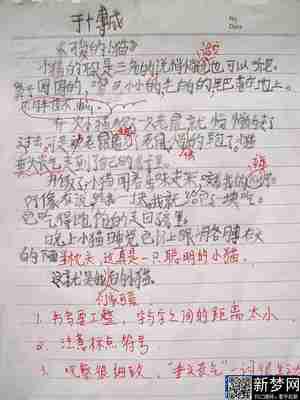 保国才能保家 疫情中的感悟作文900字