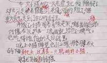 保国才能保家 疫情中的感悟作文900字