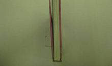 高一小说：江南・荷花・少年_3000字