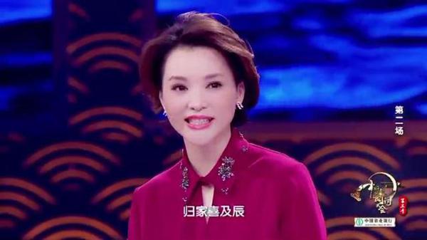 值得一读!《中国诗词大会》董卿教科书式唯美开场词,堪称作文范本|新春精选 8