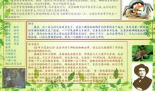 昆虫记读书笔记初一