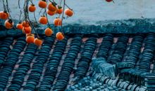 郑州市2019-2020学年高二上期末考试作文分析及优秀作文点评