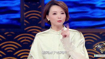 值得一读!《中国诗词大会》董卿教科书式唯美开场词,堪称作文范本|新春精选 7