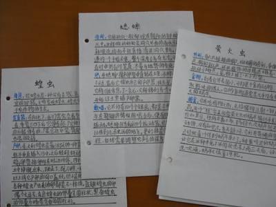 昆虫记小学读书笔记
