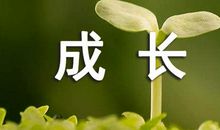 大蒜成长观察日记