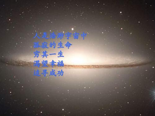生命――孤寂的狂欢_1200字