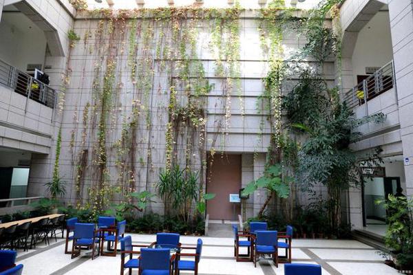 你的孩子也能成为沈帆。如何提高孩子的作文写作能力 1