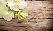 关于失败的作文