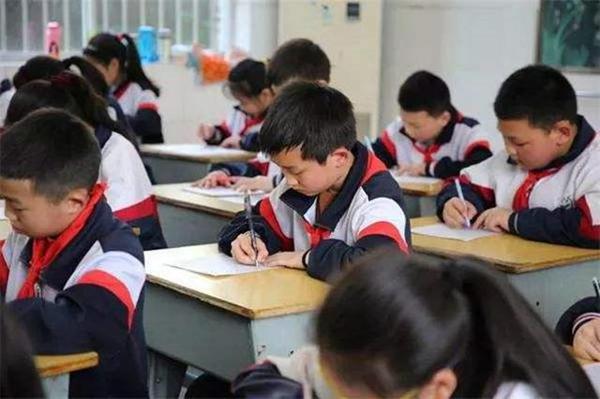 小学生作文只写了“8个字”,老师建议“另谋高就”,有才!