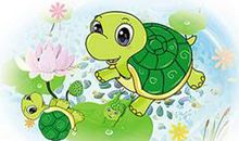 小乌龟 可爱的小乌龟500字作文