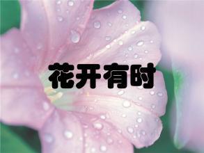 花开有时_750字