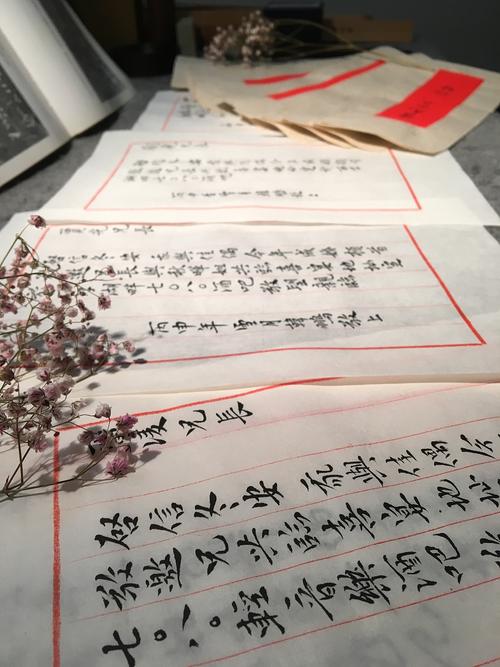 高一书信：一路成长，一路相伴_900字