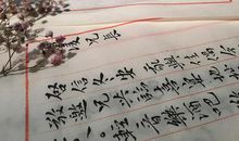 高一书信：一路成长，一路相伴_900字