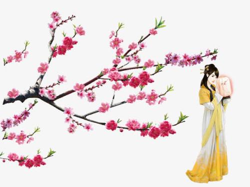 我们相逢在梅花树下_650字
