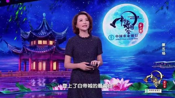 值得一读!《中国诗词大会》董卿教科书式唯美开场词,堪称作文范本|新春精选 4