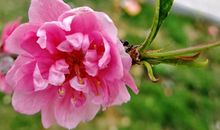 高考作文辅导14：让热爱劳动成为一种习惯