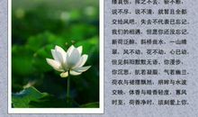 花季的心雨优秀作文