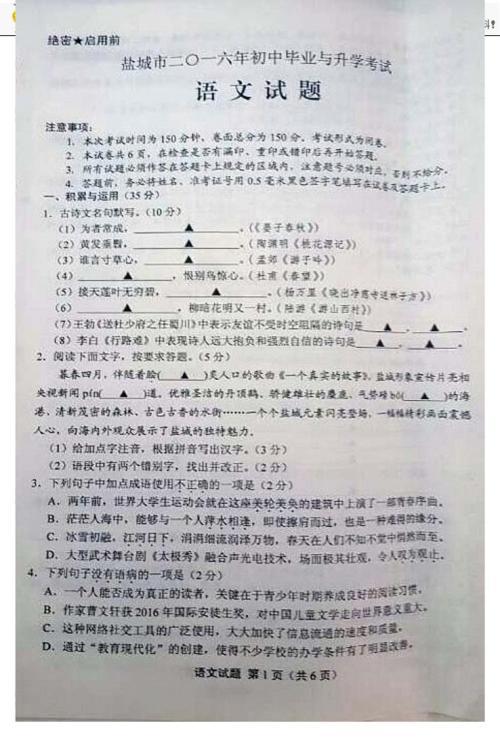 2016年江苏盐城中考满分作文：有那样一抹色彩_650字