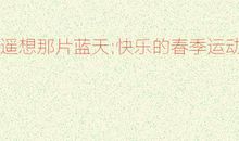 遥想那片蓝天的作文850字