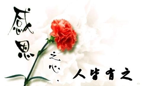 阳光校园，感恩之心_1200字