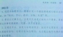 我的行囊-以成长为话题的作文700字