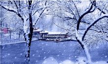 关于风景的作文：窗外的风景_650字