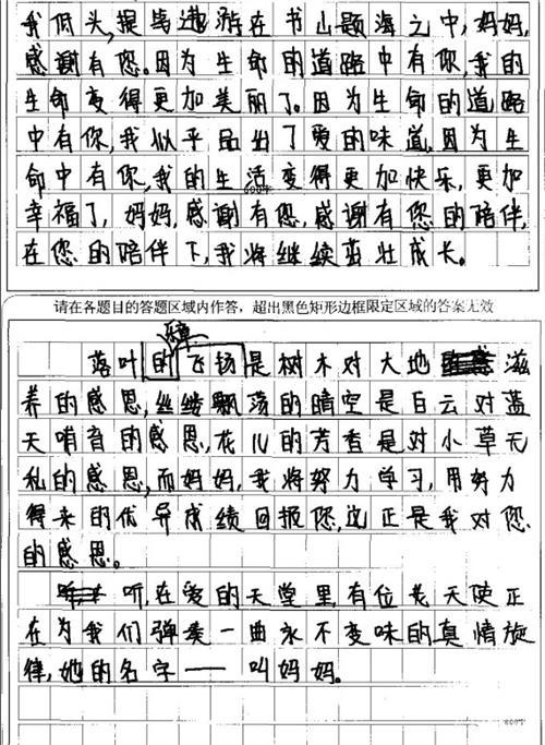 2016年江苏扬州中考满分作文：留香_650字