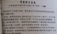 2016年上海中考满分作文：没想到，真没想到_700字